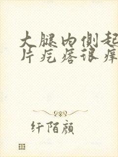 大腿内侧起了一片疙瘩很痒怎么回事