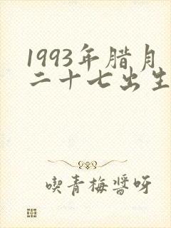 1993年腊月二十七出生命运