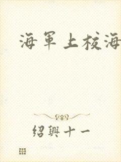 海军上校海贼王