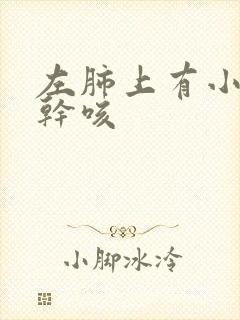 左肺上有小结节干咳封面