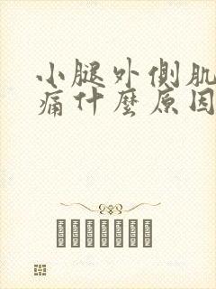 小腿外侧肌肉酸痛什么原因