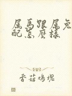 属马跟属兔的婚配怎么样封面