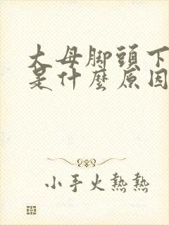 大母脚头下麻木是什么原因封面