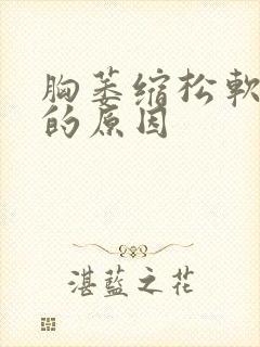 胸萎缩松软下垂的原因封面