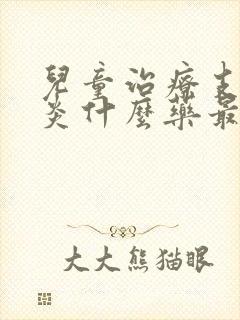 儿童治疗支气管炎什么药最好