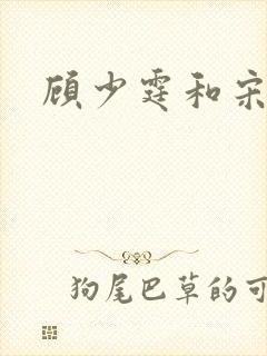 顾少霆和宋斯曼