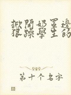 掀开奶罩边躁狠狠躁学生的小文字