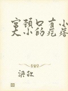 宫颈口有小米粒大小的疙瘩怎么回事