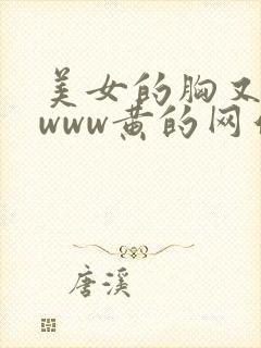 美女的胸又大又www黄的网站