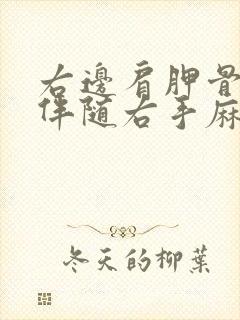 右边肩胛骨痛,伴随右手麻封面