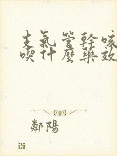 支气管干咳无痰吃什么药效果最好