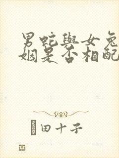 男蛇与女兔的婚姻是否相配财运怎样