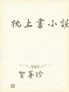 枕上书小说封面