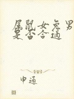 属鼠女兔男婚配是否合适封面