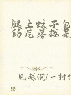 腿上蚊子包一样的疙瘩总是痒封面