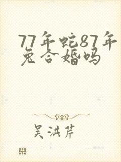 77年蛇87年兔合婚吗封面