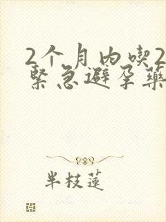 2个月内吃2次紧急避孕药会怎样