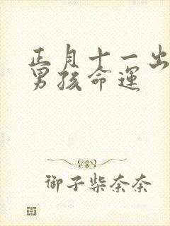 正月十一出生的男孩命运