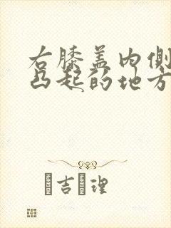 右膝盖内侧骨头凸起的地方疼