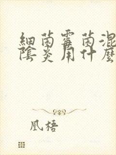 细菌霉菌混合性阴炎用什么药封面