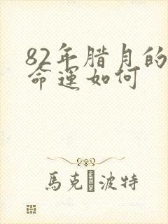 82年腊月的狗命运如何