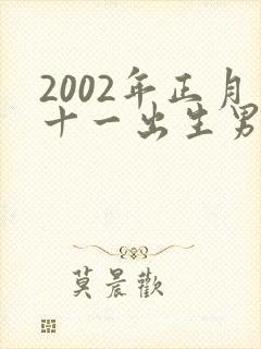 2002年正月十一出生男孩命运