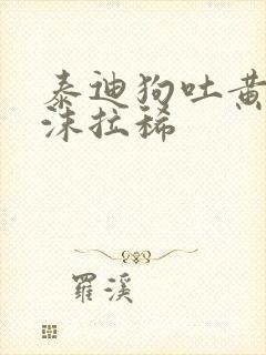 泰迪狗吐黄水带沫拉稀