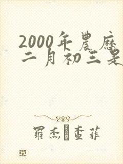 2000年农历二月初三是什么命