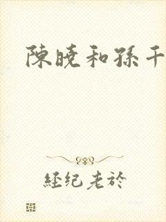 陈晓和孙千封面