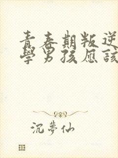 青春期叛逆不上学男孩应该怎么办封面