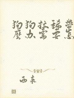 狗狗拉稀带血怎么办需要怎么治疗