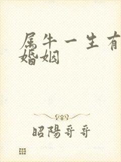 属牛一生有几段婚姻封面