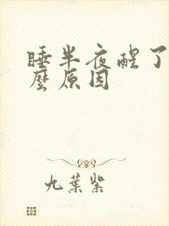 睡半夜醒了是什么原因