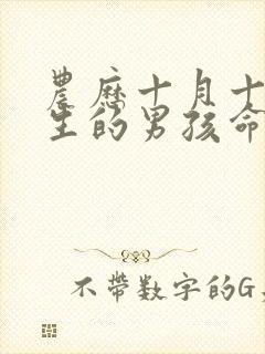 农历十月十五出生的男孩命运怎么样