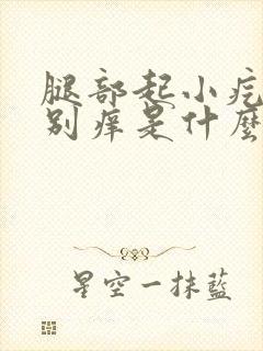 腿部起小疙瘩特别痒是什么病