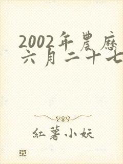 2002年农历六月二十七日出生的人命运
