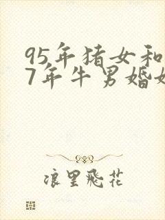 95年猪女和97年牛男婚姻相配吗