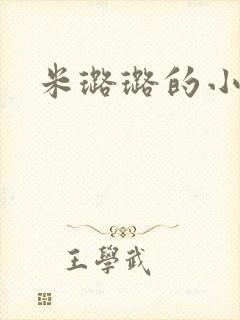 米璐璐的小说