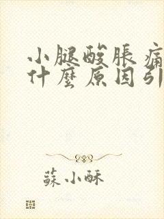 小腿酸胀痛麻木什么原因引起的