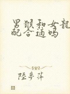 男猴和女龙的婚配合适吗