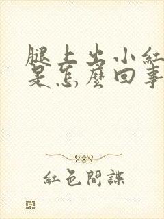 腿上出小红疙瘩是怎么回事