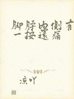 脚脖内侧有硬块一按还痛封面