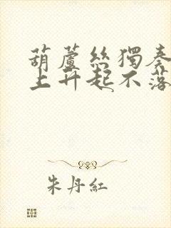 葫芦丝独奏草原上升起不落的太阳封面