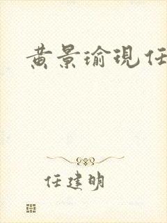 黄景瑜现任封面