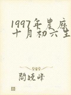 1997年农历十月初六生男孩命运怎么样