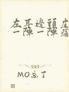 左耳边头皮神经一阵一阵痛封面