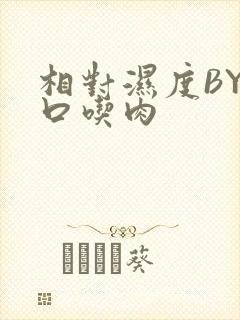 相对湿度BY大口吃肉