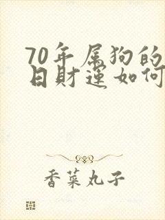 70年属狗的今日财运如何