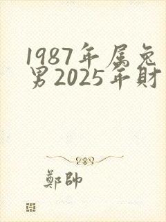 1987年属兔男2025年财运