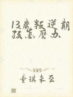 13岁叛逆期男孩怎么办封面